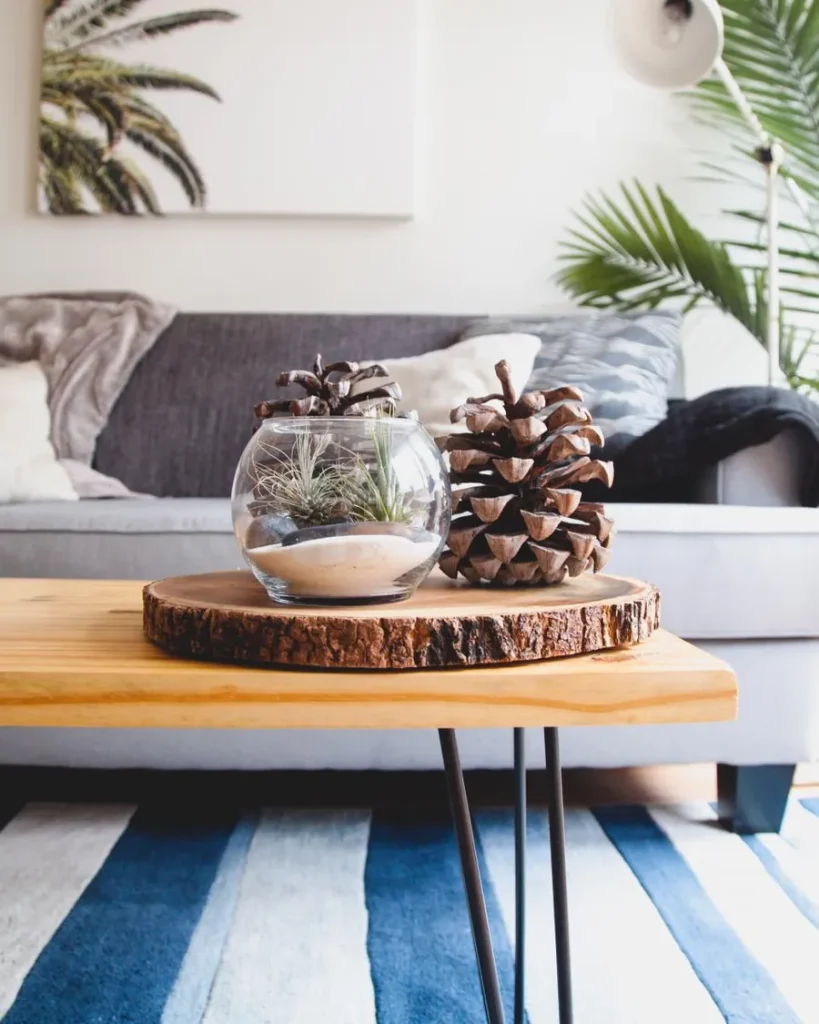 A wooden coffee table with a glass terrarium and pinecones in a bright living room