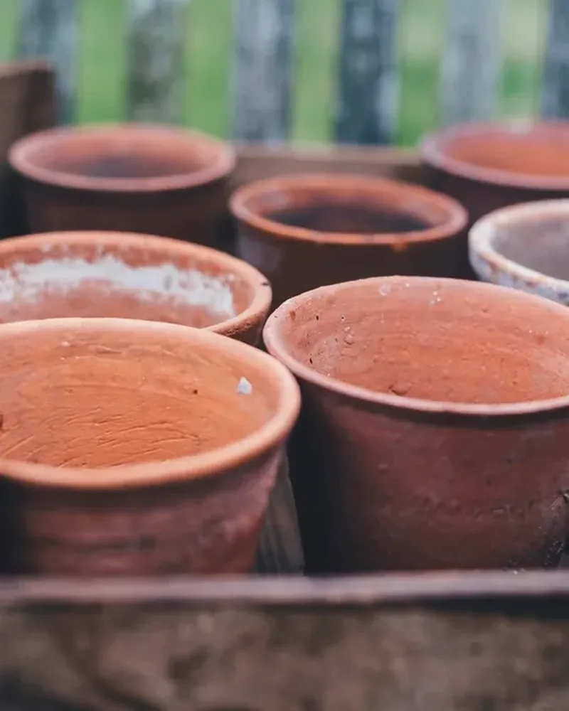 Terracotta plant pots resting in a weathered wooden crate
