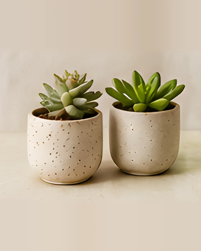 Two small speckled ceramic planters, each holding a succulent